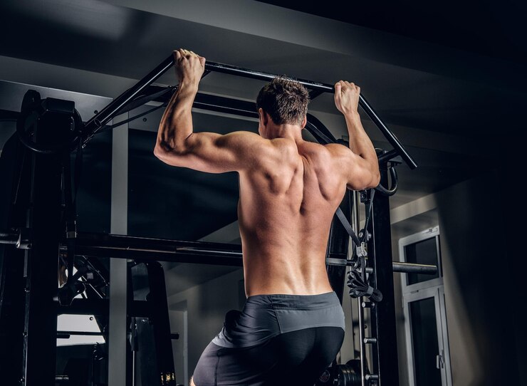 Building Muscle with Exercise: How Muscle Builds, Routines, and Diet ...