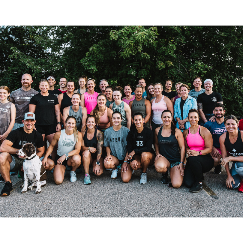 About IBEX TRAINING about-ibex-training