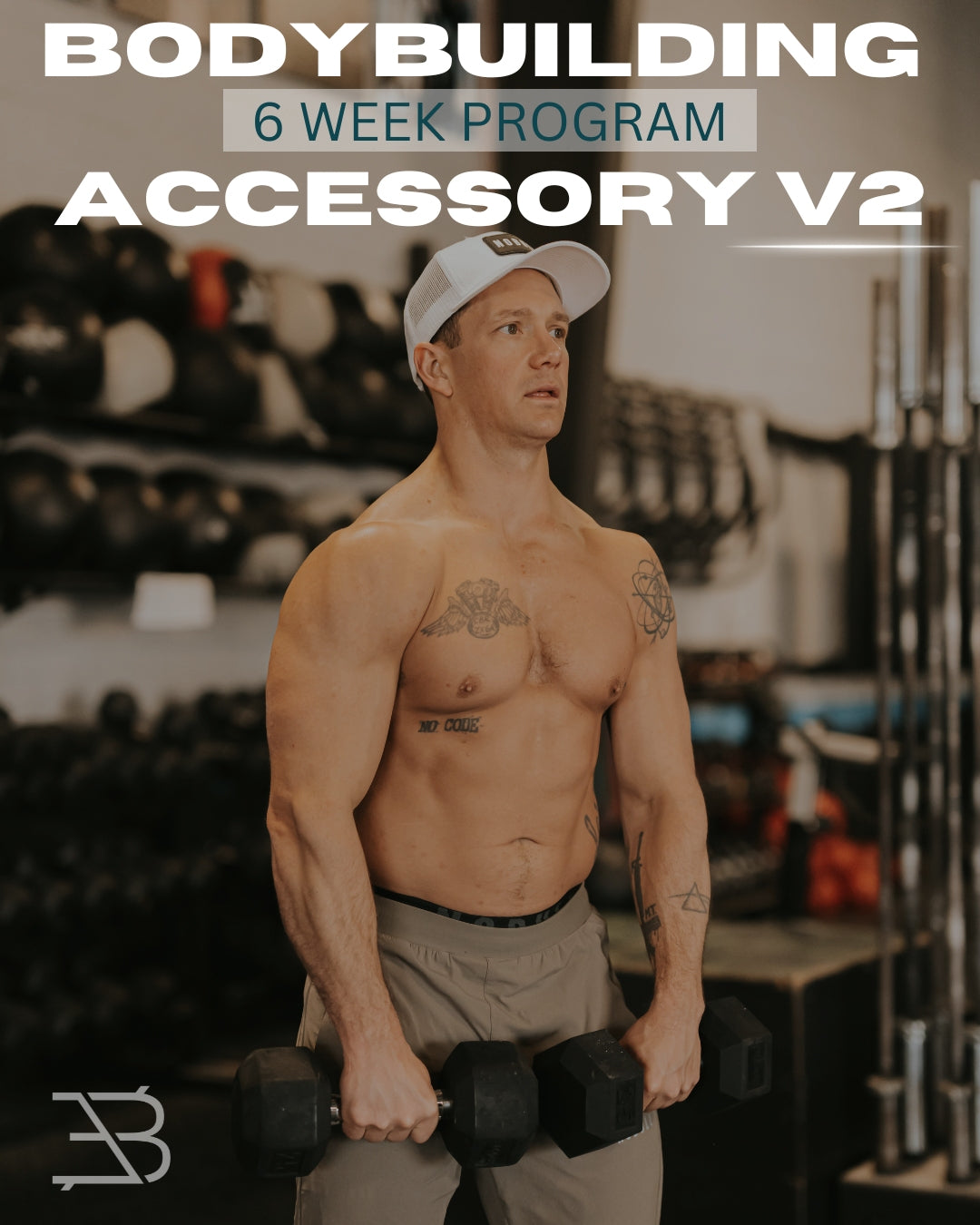 V2 Bodybuilding Accessory Program